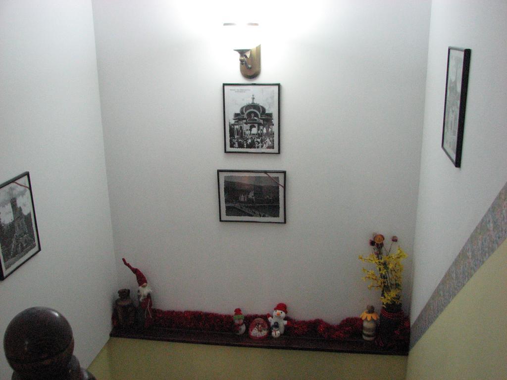 Vila Dariana Vatra Dornei Extérieur photo