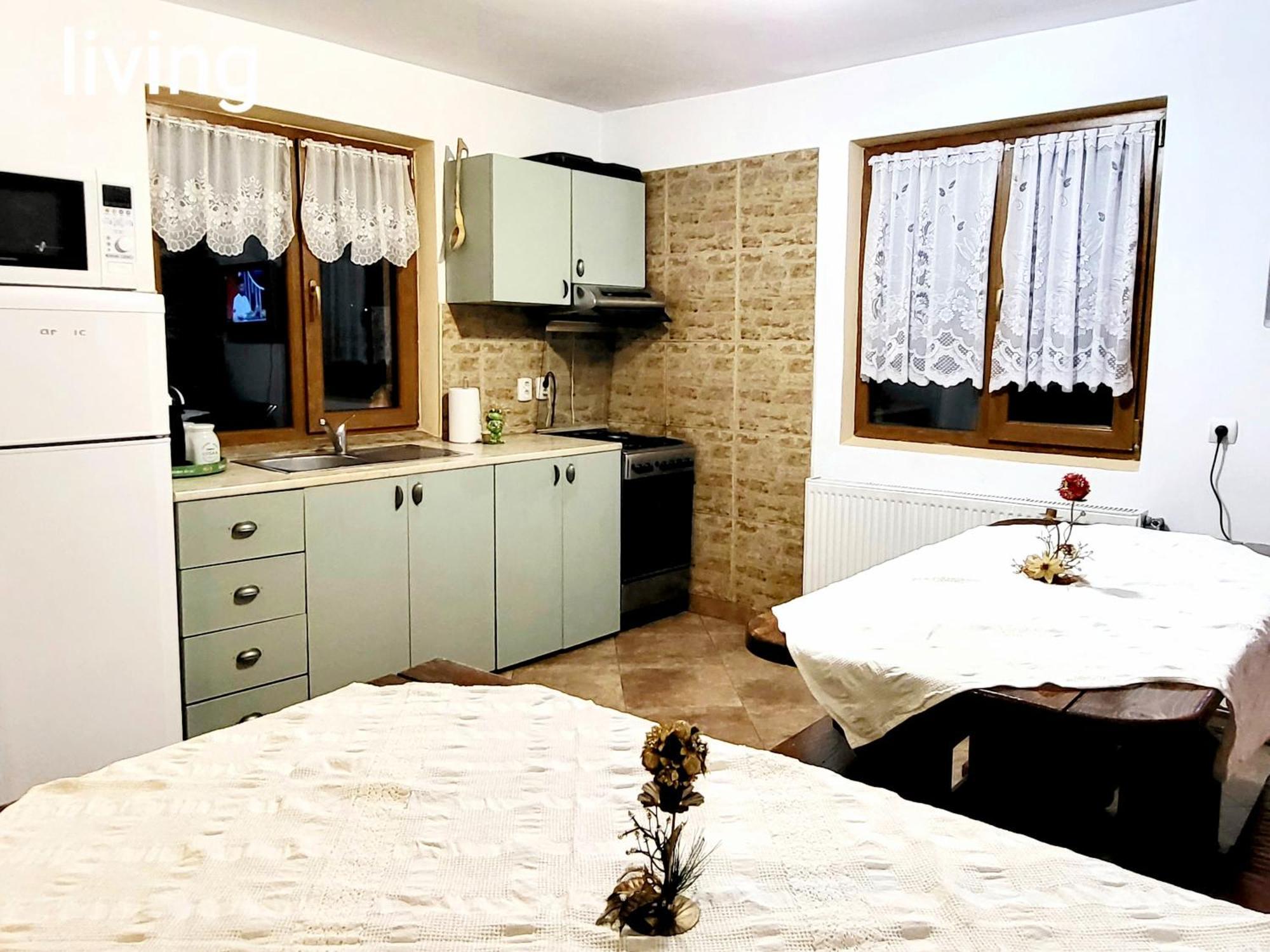 Vila Dariana Vatra Dornei Extérieur photo