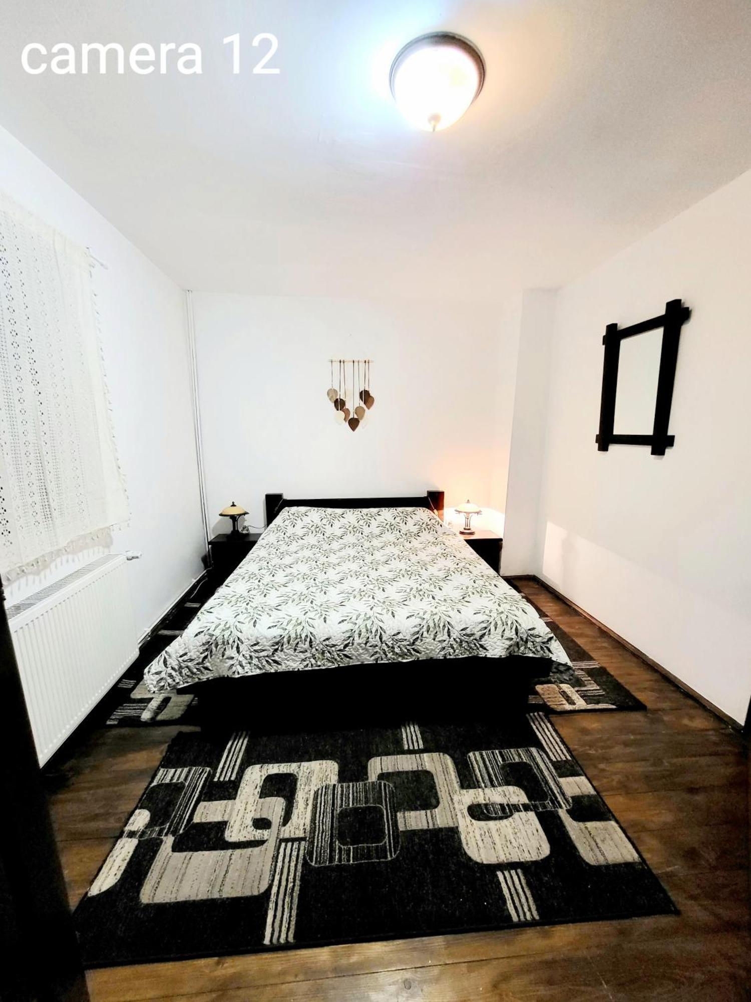 Vila Dariana Vatra Dornei Extérieur photo