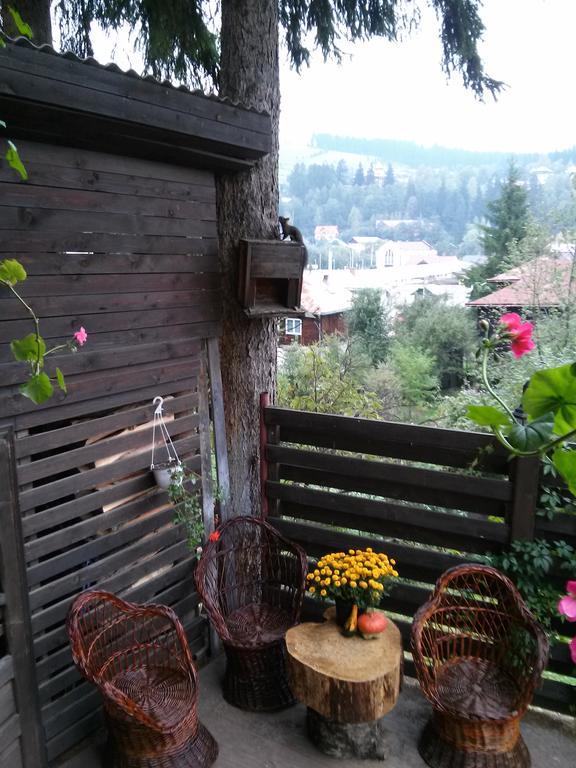 Vila Dariana Vatra Dornei Extérieur photo