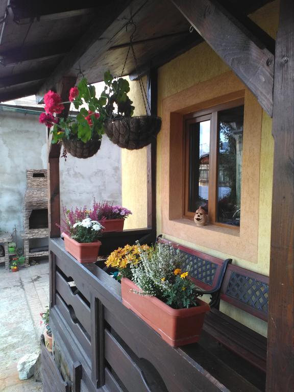 Vila Dariana Vatra Dornei Extérieur photo