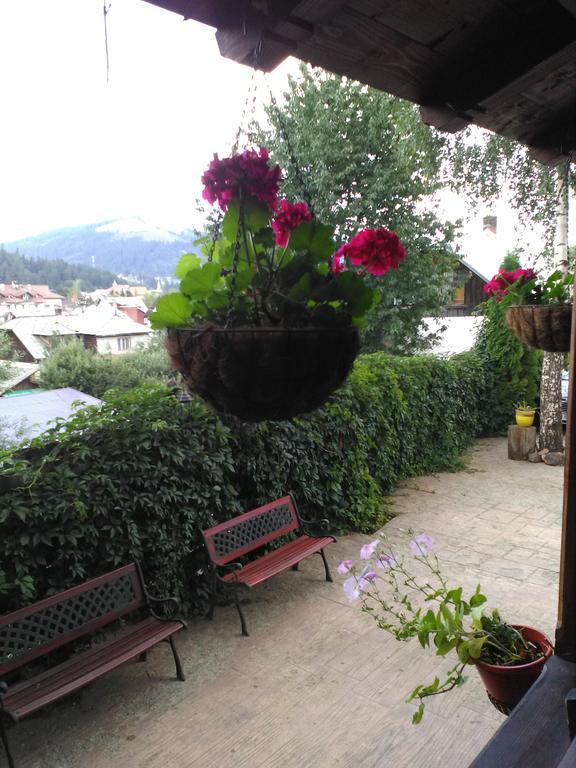 Vila Dariana Vatra Dornei Extérieur photo