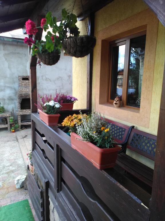 Vila Dariana Vatra Dornei Extérieur photo